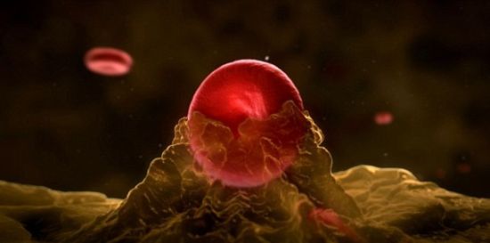 �������о�������ͭ��������������֢-