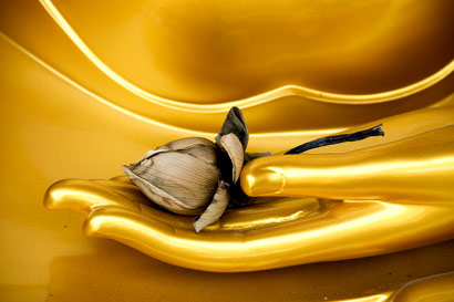 济群法师:执著越深_干扰力量越大 济群法师:执著越深_干扰力量越大