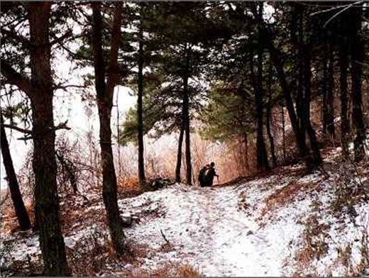 �ذ������̺�Χ���ʥ��_����ɽ���཭�������