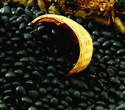 乌发养颜益五脏_五色豆米粥 乌发养颜益五脏_五色豆米粥