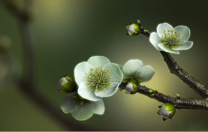 �𾭹��£�����Ҳ��������