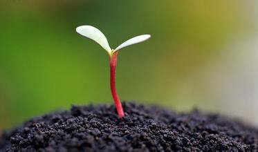 宗性法师:解读“生命第一课”_生命的真相 宗性法师:解读“生命第一课”_生命的真相