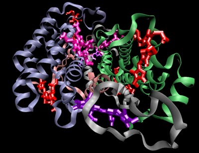 �𾪣�������ѧ�ҷ��֣��㲻��������ȥ(ͼ)