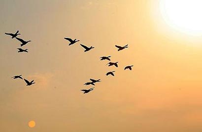 ���Ԣ�ԣ�����һ����