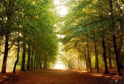 ���ڹ�����������·_�α�����