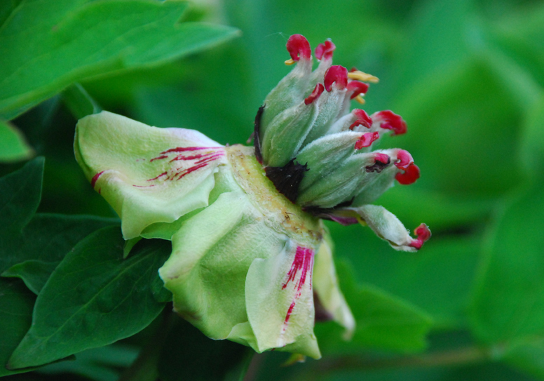 周老师:从“心”下手,改命治病(四) 周老师:从“心”下手,改命治病(四)