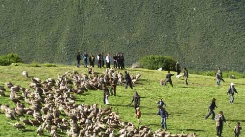 ����������ص��ǹ������_��������ħ��