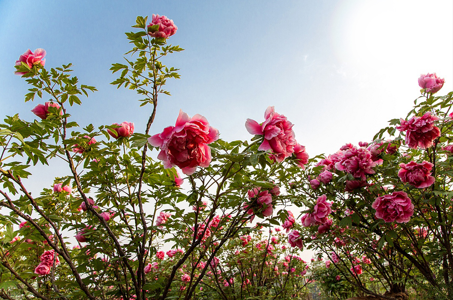 ����ʦ���ӡ��ġ����֣������β�������