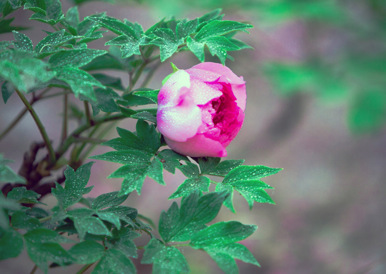 ����ʦ���ӡ��ġ����֣������β����ˣ�