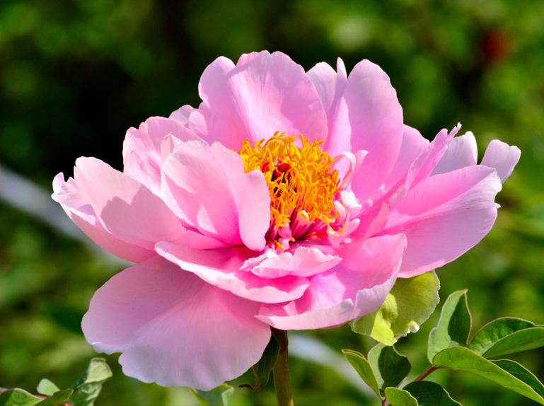 ����ʦ���ӡ��ġ����֣������β����ţ�