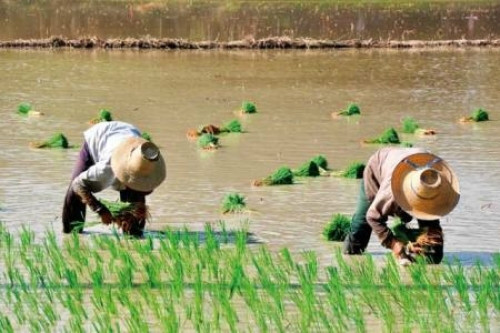 �������ǻ�_�˲�ԭ������ǰ(ͼ)