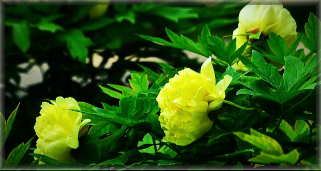 ����ʦ���ӡ��ġ����֣������β���ʮ����