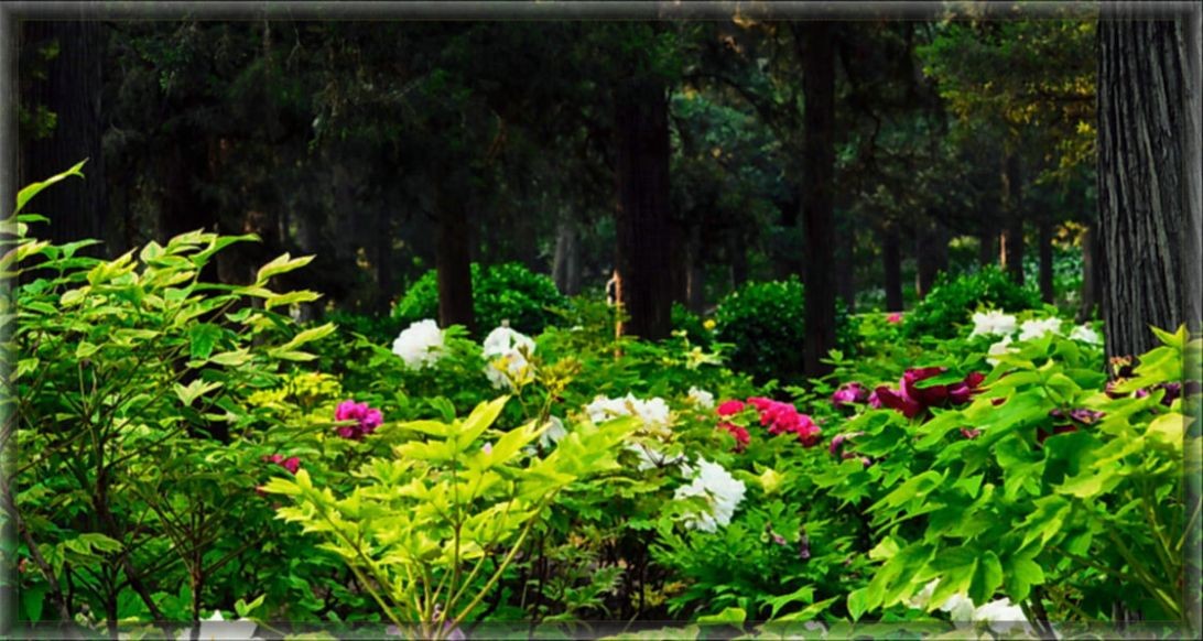 ����ʦ���ӡ��ġ����֣������β���ʮ�ģ�