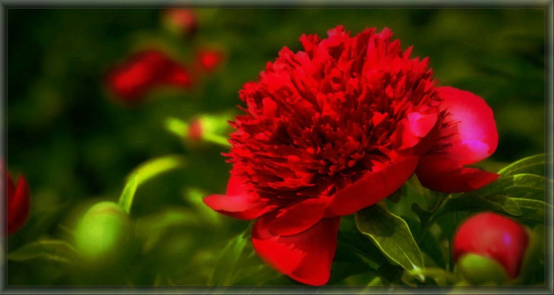 ����ʦ���ӡ��ġ����֣������β���ʮ����