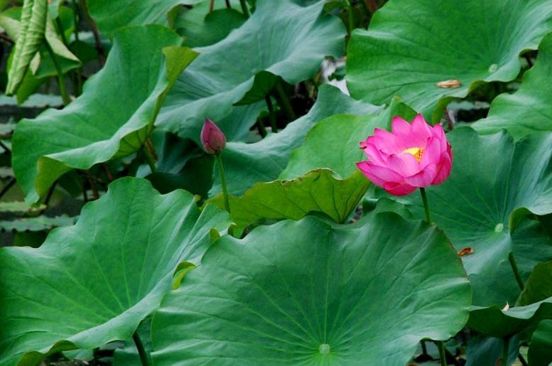 ����ʦ���ӡ��ġ����֣������β���ʮ�ߣ�