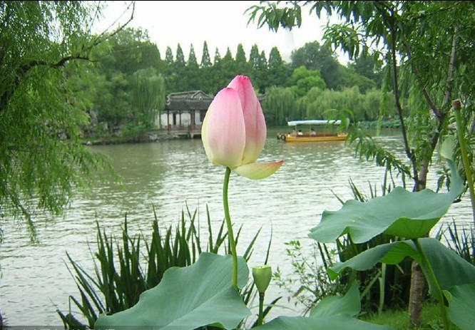 周老师:从“心”下手,改命治病(十八) 周老师:从“心”下手,改命治病(十八)