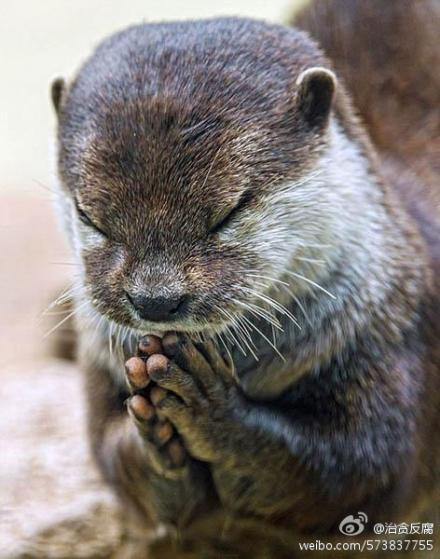 ˮ̡��ǰ������