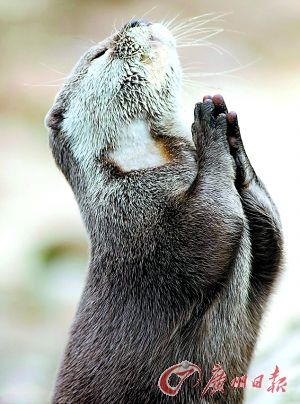 ˮ̡��ǰ������