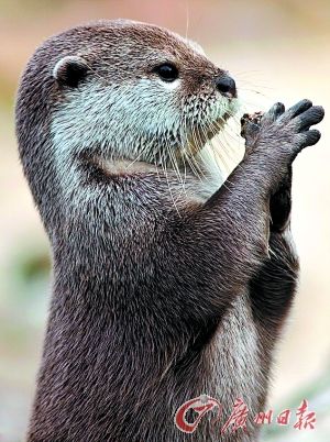 ˮ̡��ǰ������