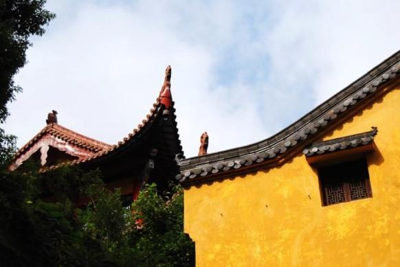 �����ϲ��滮��������_������Ůɮ�˹�סһ��