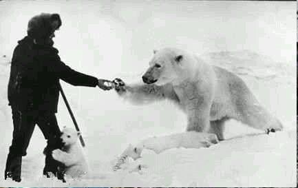 深深震撼整个世界的正能量照片! 深深震撼整个世界的正能量照片!