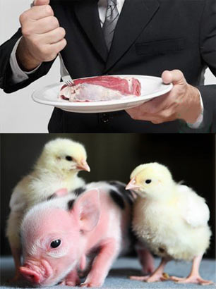 ���������һҳ