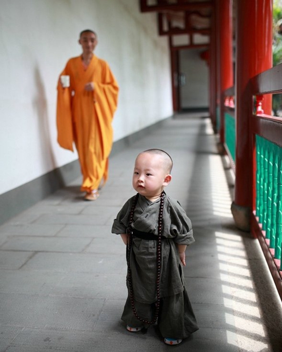 ����������Ƭ�����鶼������������