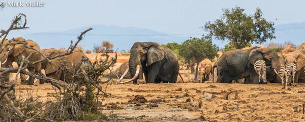 ��������ʹ������ա�����_�沿�������Ǳ����(ͼ)