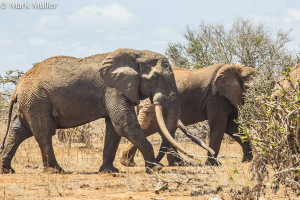 ��������ʹ������ա�����_�沿�������Ǳ����(ͼ)