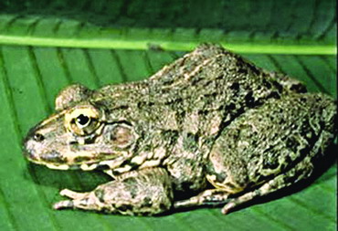 �������ҹ���Ȼˮ������ĳ�������