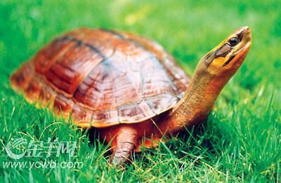 ��ʵ�������£����ڹ��·����������ͷ����л��