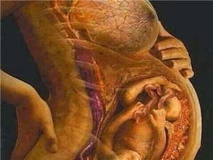 一个爸爸告诉儿子:顶撞妈妈是有条件的 一个爸爸告诉儿子:顶撞妈妈是有条件的