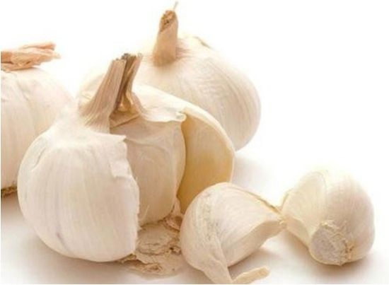 葱蒜防癌,净业行人可否食用? 葱蒜防癌,净业行人可否食用?