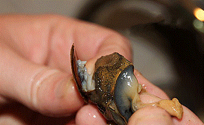 ΪʲôҪ�������ݣ�