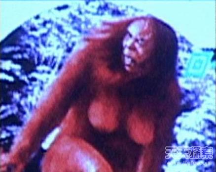 ����ʮ���������󣺸�ɮ���绯��֮��(��ͼ)