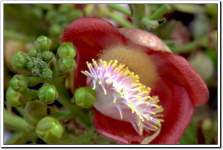 ���ʹ�˵�е����Ứ