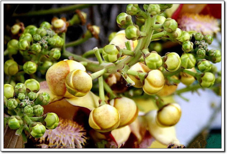 ���ʹ�˵�е����Ứ