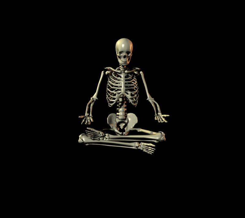 �׹ǹ�ͼ�ģ���ϲĪ�룩