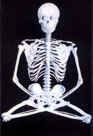 �׹ǹ�ͼ�ģ���ϲĪ�룩