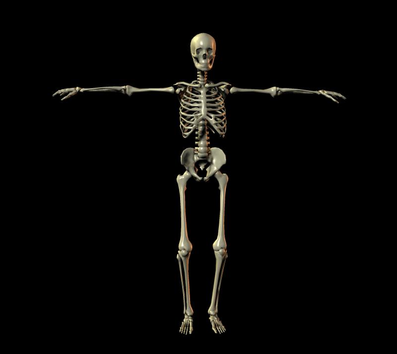 �׹ǹ�ͼ�ģ���ϲĪ�룩