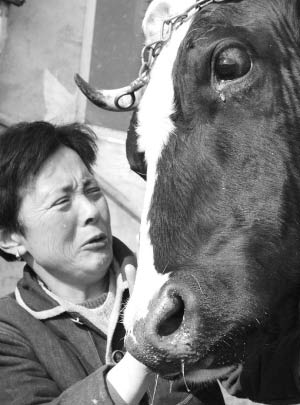 它们为何流泪谁是世间最残暴的动物 它们为何流泪谁是世间最残暴的动物