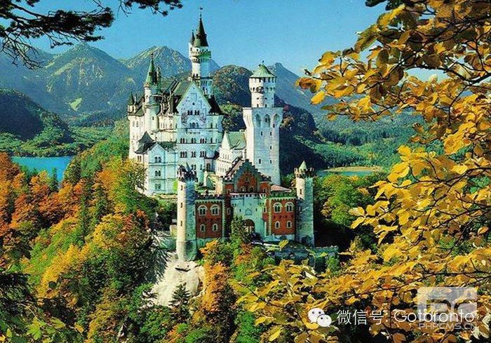 �ж�������Ů��ѧ���ڵ¹���̥�ľ���