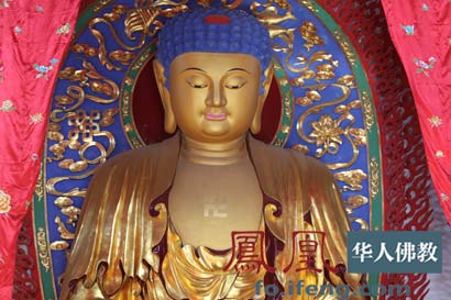 �������ԣ�����˵�ɷ�������Ҫ�������������