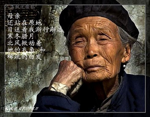 老母亲 老母亲