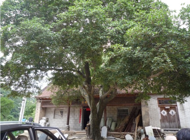 ����ɮ�Ŀ��У�һ��