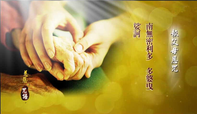 ũ�����£�ÿ�ճ��б���ĸ���䣬�ɱ���ĸ����