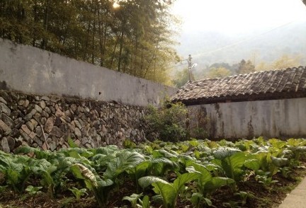 ����������Ů������˧����!