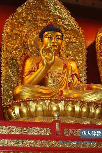 �������ԣ���˵�����ӷ��ʨ�����ߴ������