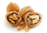 ��ʳ���������ֳ���ʳ��Դ����ȶ�ҩ