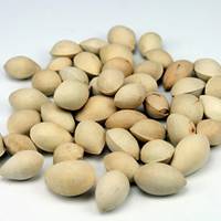 ��ʳ���������ֳ���ʳ��Դ����ȶ�ҩ